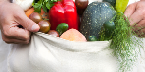 Plantas de horta para vender