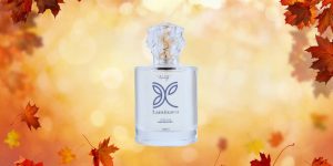 Por que o Laminae 33 da Petala Beauty é um dos perfumes nacionais mais desejados