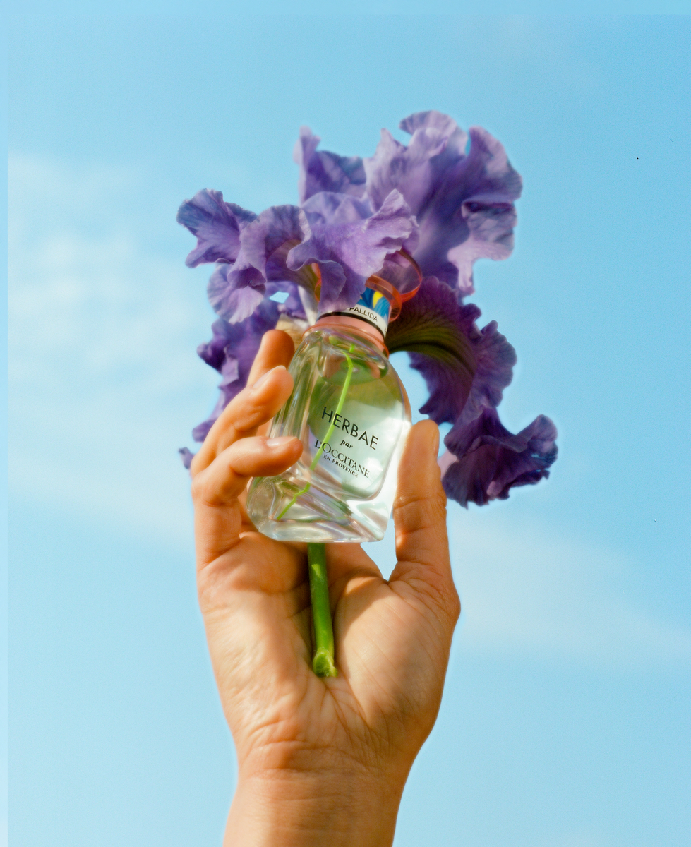 Edição Limitada: Herbae par L'Occitane Iris é o novo perfume para o Dia das Mães 2024
