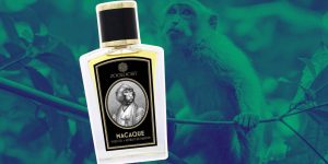 Macaque Yuzu Edition