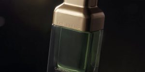 The Blend Cardamom perfume nacional com fixação 10/10