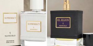 TOP 5 perfumes masculinos da Nuancielo